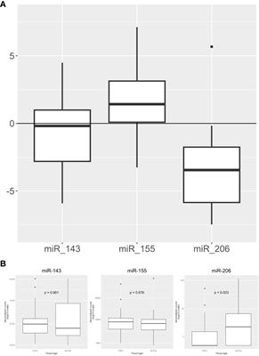 KRAS-related miR-143 expression is associated with lymph node involvement and correlates with outcome in pancreatic adenocarcinoma patients